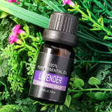 Pure Plant Essential Oil - Lavender