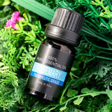 Pure Plant Essential Oil - Rosemary