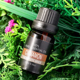 Pure Plant Essential Oil - Cinnamon